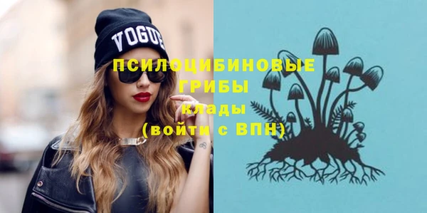 винт Бородино
