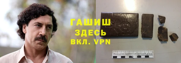 гидра Богородск