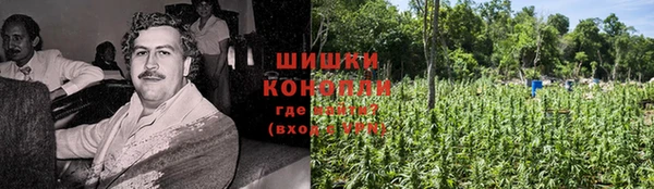 винт Бородино