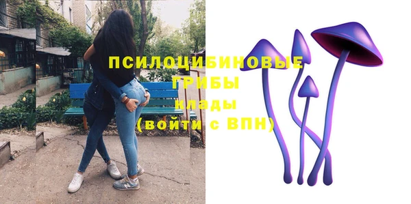 винт Бородино