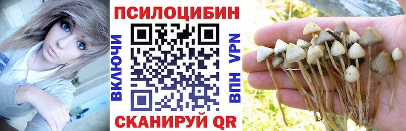 Галлюциногенные грибы Cubensis  Кингисепп 